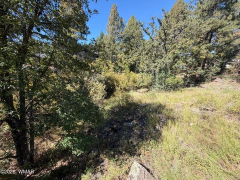 Tiny photo for 18 Walnut Creek Trail, Lakeside, AZ 85929 (MLS # 263510)