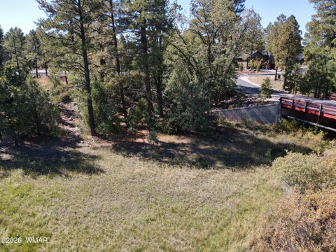 Tiny photo for 18 Walnut Creek Trail, Lakeside, AZ 85929 (MLS # 263510)