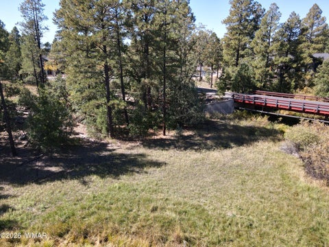 Tiny photo for 18 Walnut Creek Trail, Lakeside, AZ 85929 (MLS # 263510)