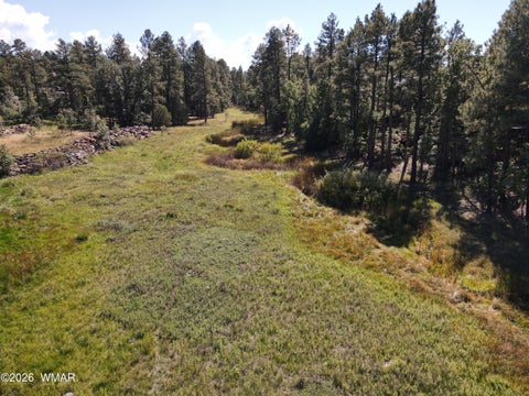Tiny photo for 18 Walnut Creek Trail, Lakeside, AZ 85929 (MLS # 263510)