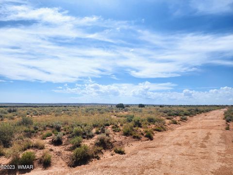 Tiny photo for 5351 Michelle Road, Snowflake, AZ 85937 (MLS # 247638)