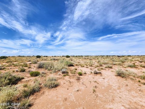 Tiny photo for 5351 Michelle Road, Snowflake, AZ 85937 (MLS # 247638)