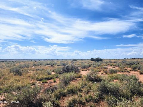Tiny photo for 5351 Michelle Road, Snowflake, AZ 85937 (MLS # 247638)