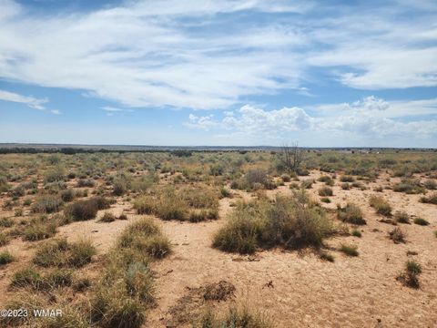 Tiny photo for 5351 Michelle Road, Snowflake, AZ 85937 (MLS # 247638)