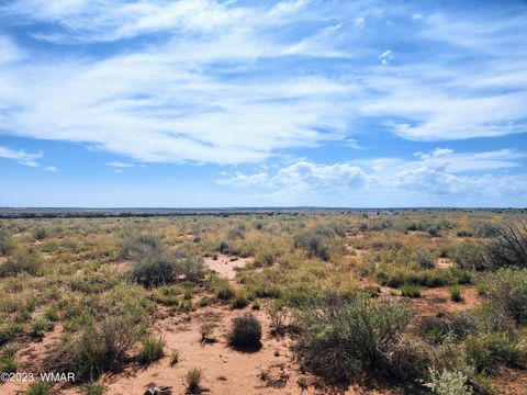 Tiny photo for 5351 Michelle Road, Snowflake, AZ 85937 (MLS # 247638)