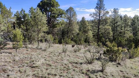 Photo of 2316 Thunderbird Circle, Overgaard, AZ 85933 (MLS # 256456)