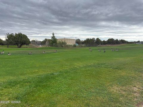 Tiny photo for 1850 Par Circle #235, Show Low, AZ 85901 (MLS # 259891)