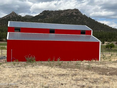 Tiny photo for TBD County Road N2276, Nutrioso, AZ 85932 (MLS # 257126)