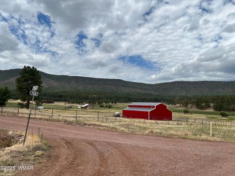 Tiny photo for TBD County Road N2276, Nutrioso, AZ 85932 (MLS # 257126)