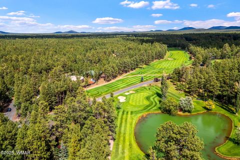 Tiny photo for 6597 Buck Springs Rd Rd, Pinetop, AZ 85935 (MLS # 257937)