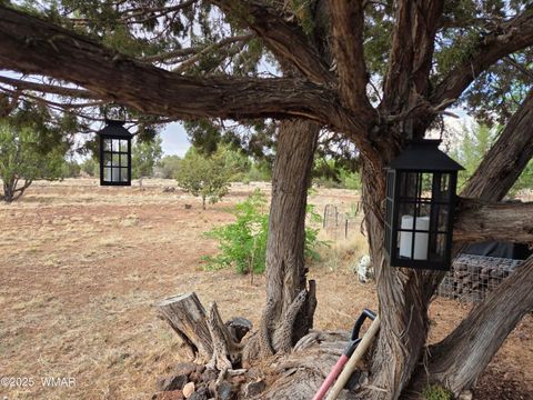 Tiny photo for 1866 Reel Way #474, Show Low, AZ 85901 (MLS # 259699)