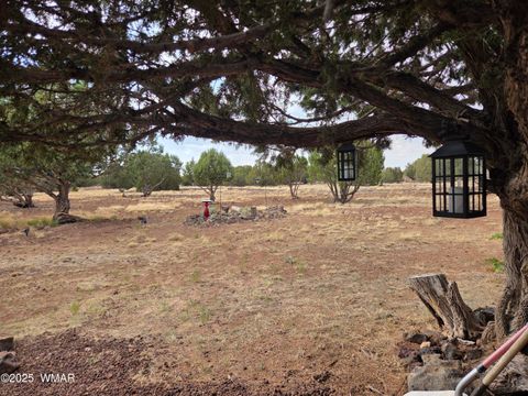 Tiny photo for 1866 Reel Way #474, Show Low, AZ 85901 (MLS # 259699)