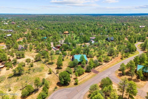 Tiny photo for 2242 Grizzly Drive, Overgaard, AZ 85933 (MLS # 262486)