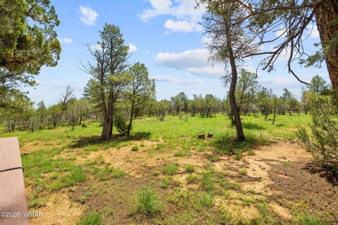 Tiny photo for 2242 Grizzly Drive, Overgaard, AZ 85933 (MLS # 262486)