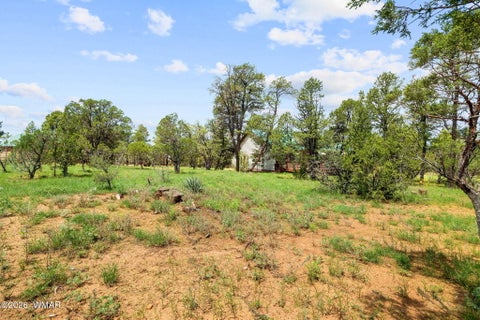 Tiny photo for 2242 Grizzly Drive, Overgaard, AZ 85933 (MLS # 262486)