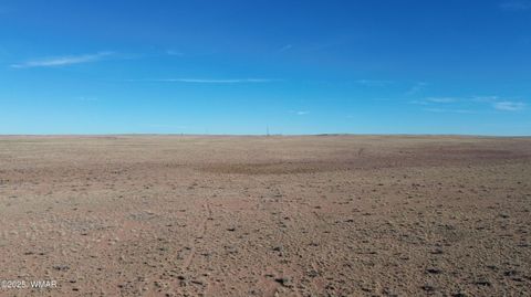 Tiny photo for TBD 19th Street, Holbrook, AZ 86025 (MLS # 254463)