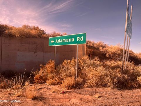 Tiny photo for TBD 19th Street, Holbrook, AZ 86025 (MLS # 254463)