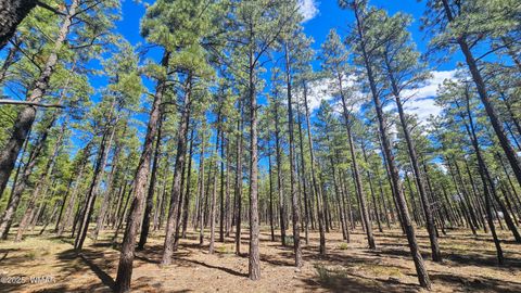 Photo of 234 Deer Run Road, Lakeside, AZ 85929 (MLS # 258065)