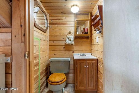 Tiny photo for 41198 US 180, Nutrioso, AZ 85932 (MLS # 254495)
