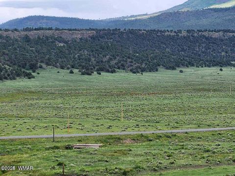 Tiny photo for 41198 US 180, Nutrioso, AZ 85932 (MLS # 254495)