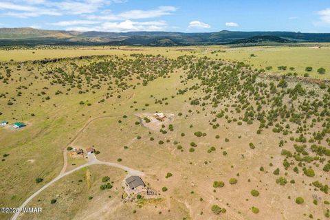 Tiny photo for 41198 US 180, Nutrioso, AZ 85932 (MLS # 254495)