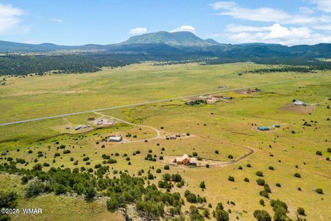 Tiny photo for 41198 US 180, Nutrioso, AZ 85932 (MLS # 254495)