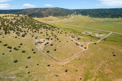 Tiny photo for 41198 US 180, Nutrioso, AZ 85932 (MLS # 254495)