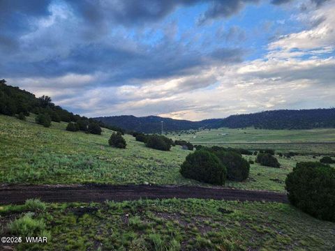Tiny photo for 41198 US 180, Nutrioso, AZ 85932 (MLS # 254495)