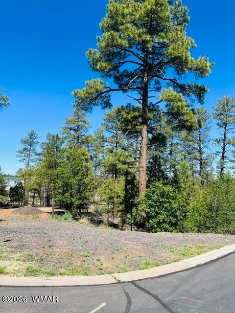 Tiny photo for 1900 S Silvertree Lane, Show Low, AZ 85901 (MLS # 261185)