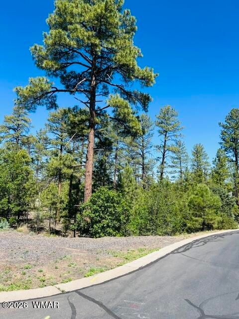 Photo of 1900 S Silvertree Lane, Show Low, AZ 85901 (MLS # 261185)