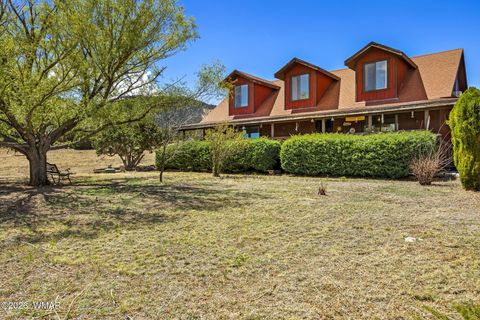 Photo of 23 E CR 4074 Drive, Springerville, AZ 85938 (MLS # 260641)
