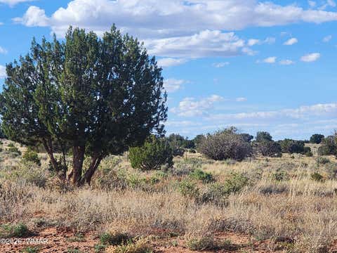 Tiny photo for 1483 County Road 5270, Concho, AZ 85924 (MLS # 261551)
