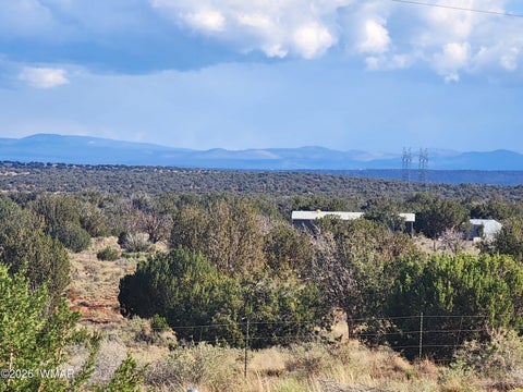 Tiny photo for 1483 County Road 5270, Concho, AZ 85924 (MLS # 261551)