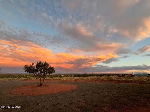 Tiny photo for 1483 County Road 5270, Concho, AZ 85924 (MLS # 261551)