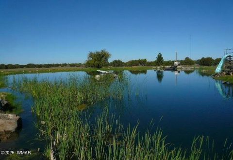 Tiny photo for 280 CR N8355 (201-48-137A), Concho, AZ 85924 (MLS # 258570)