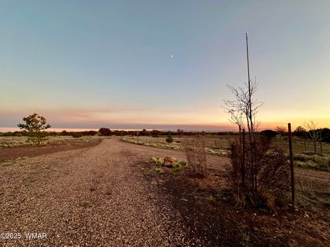 Tiny photo for 280 CR N8355 (201-48-137A), Concho, AZ 85924 (MLS # 258570)