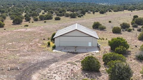 Tiny photo for 280 CR N8355 (201-48-137A), Concho, AZ 85924 (MLS # 258570)