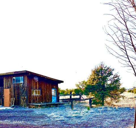 Tiny photo for 280 CR N8355 (201-48-137A), Concho, AZ 85924 (MLS # 258570)