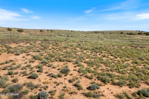 Tiny photo for TBD W Flake Avenue, Snowflake, AZ 85937 (MLS # 263471)