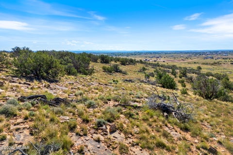Tiny photo for TBD W Flake Avenue, Snowflake, AZ 85937 (MLS # 263471)