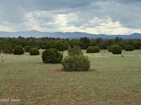 Tiny photo for 6 N 3242, Vernon, AZ 85940 (MLS # 255149)