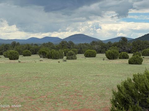 Tiny photo for 6 N 3242, Vernon, AZ 85940 (MLS # 255149)