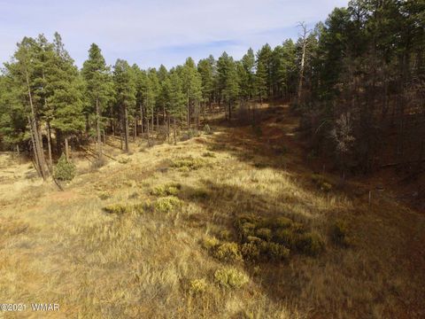 Tiny photo for 0000 AZ-260, Show Low, AZ 85901 (MLS # 237544)