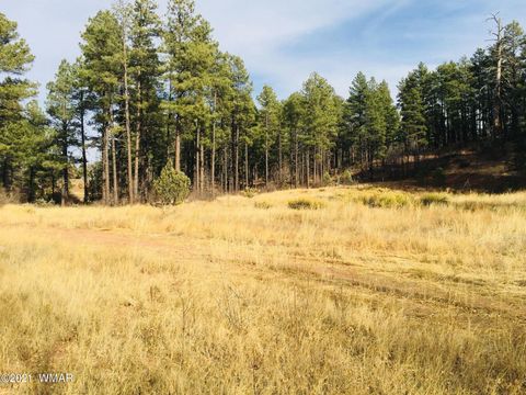 Photo of 0000 AZ-260, Show Low, AZ 85901 (MLS # 237544)