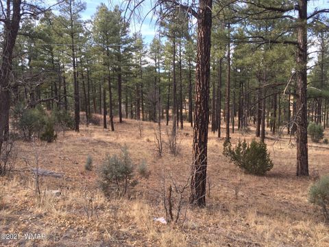 Tiny photo for 0000 AZ-260, Show Low, AZ 85901 (MLS # 237544)