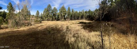 Tiny photo for 0000 AZ-260, Show Low, AZ 85901 (MLS # 237544)