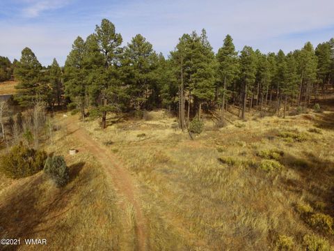 Tiny photo for 0000 AZ-260, Show Low, AZ 85901 (MLS # 237544)