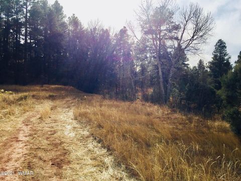 Tiny photo for 0000 AZ-260, Show Low, AZ 85901 (MLS # 237544)