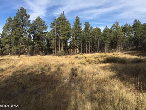Tiny photo for 0000 AZ-260, Show Low, AZ 85901 (MLS # 237544)