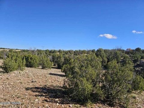 Tiny photo for Sec.12 T14N,R16E: SE4,SE4,SE4, Heber, AZ 85928 (MLS # 259812)